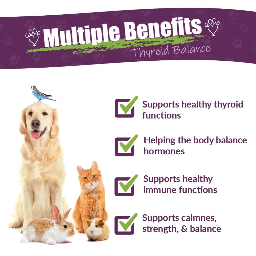 amber-naturalz-tyd-thyroid-balance-for-p-2.jpg