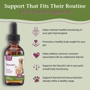 thyro-pet-herbal-thyroid-support-supplem-3.jpg
