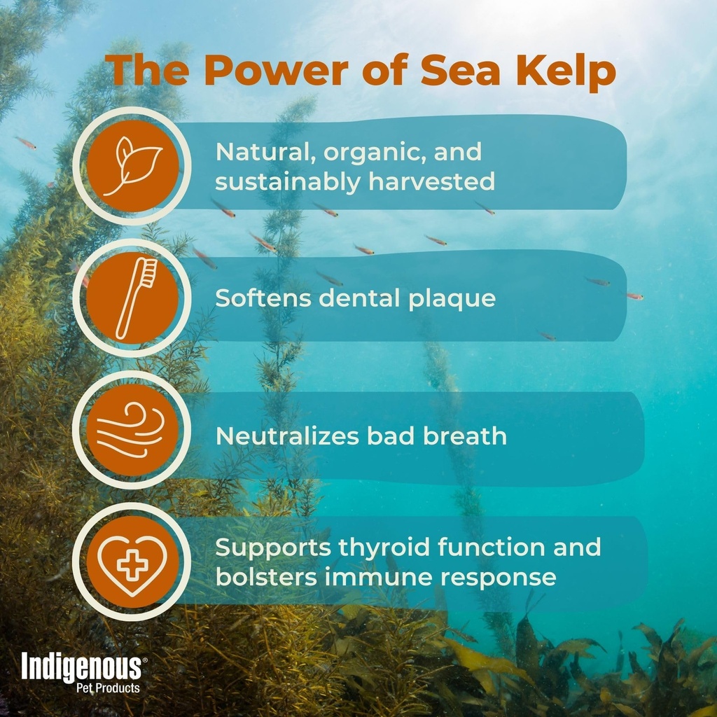 pet-organic-sea-kelp-flakes-for-dogs-2-5-4.jpg