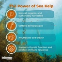 pet-organic-sea-kelp-flakes-for-dogs-2-5-4.jpg