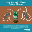 pet-organic-sea-kelp-flakes-for-dogs-2-5-6.jpg
