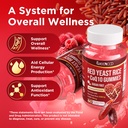 meenccd-2-pack-red-yeast-rice-with-coq10-3.jpg
