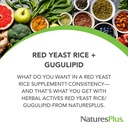 naturesplus-herbal-actives-red-yeast-ric-2.jpg