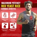 2-pack-red-yeast-rice-with-coq10-gummies-3.jpg