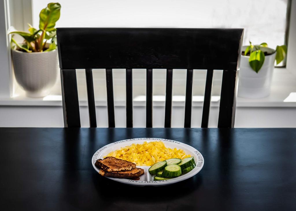bariatric-portion-control-plates-for-wei-4.jpg