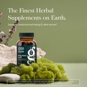 gaia-herbs-holy-basil-leaf-supports-heal-2.jpg