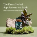 gaia-herbs-holy-basil-leaf-supports-heal-2.jpg