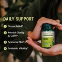 banyan-botanicals-organic-tulsi-holy-bas-3.jpg