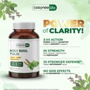 holy-basil-tulsi-extract-300-mg-per-caps-5.jpg