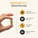 5-in-1-advanced-stress-formula-with-holi-6.jpg
