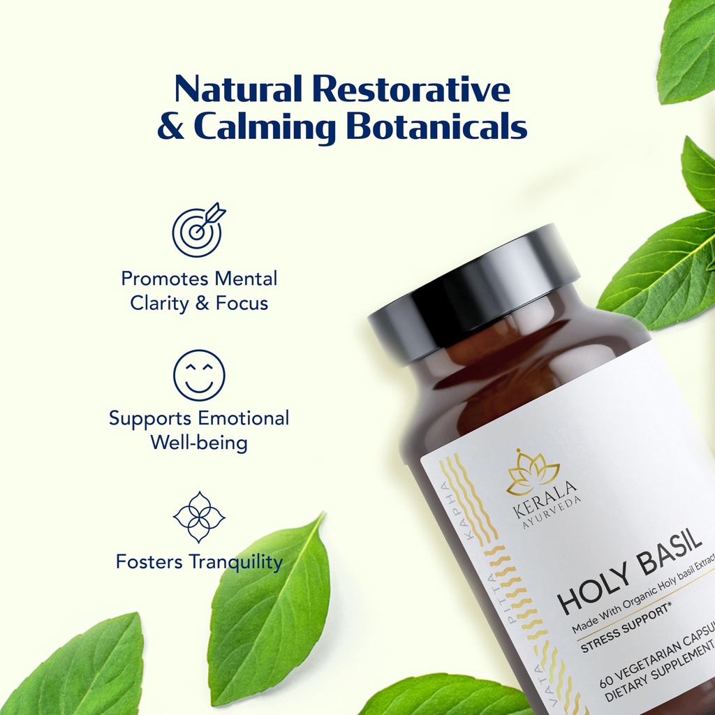 kerala-ayurveda-holy-basil-tulsi-extract-2.jpg