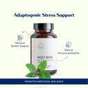 kerala-ayurveda-holy-basil-tulsi-extract-4.jpg