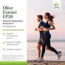 terry-naturally-olive-extract-ep20-brain-3.jpg