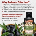 barlean-s-peppermint-olive-leaf-complex--3.jpg