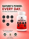 seagate-products-olive-leaf-plus-450mg-9-2.jpg
