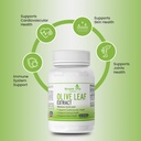 olive-leaf-extract-supplement-supports-i-2.jpg