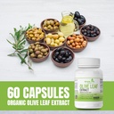 olive-leaf-extract-supplement-supports-i-3.jpg