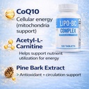 legere-lipo-bc-b-complex-lipotropic-pill-5.jpg