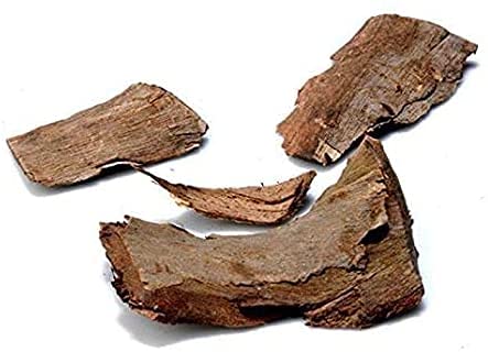 arjuna-ki-chaal-arjuna-bark-arjun-tree-b-2.jpg