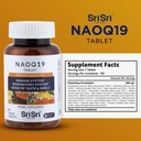 sri-sri-tattva-naoq19-immunity-support-a-2.jpg