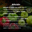 allicidin-by-dr-rajsree-garlic-sulfides--3.jpg