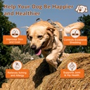 natural-target-omega-3-fish-oil-for-dogs-2.jpg
