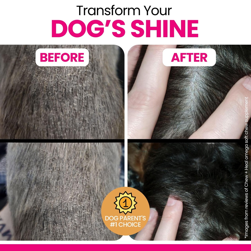 dog-skin-and-coat-supplement-omega-3-6-9-4.jpg