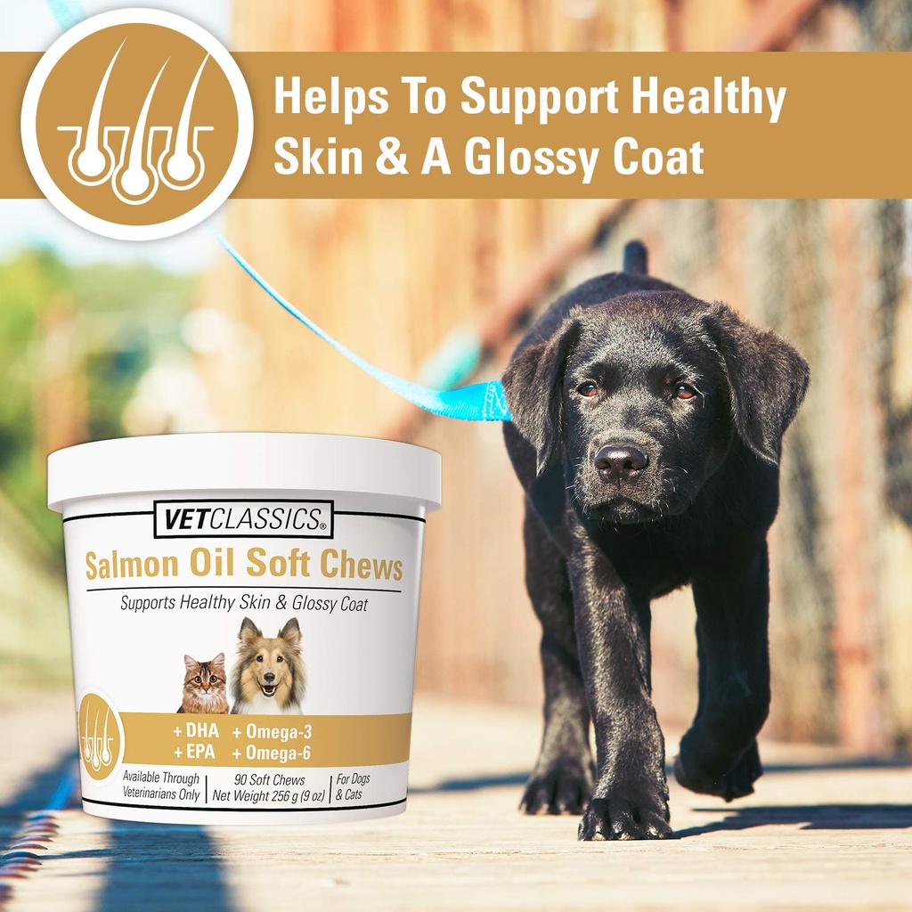 salmon-oil-pet-supplement-for-healthy-sk-3.jpg