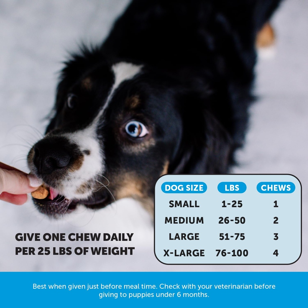 omega-3-for-dogs-skin-and-coat-supplemen-4.jpg
