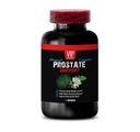 holistic-gout-prostate-support-shiitake--2.jpg