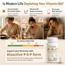 p-5-p-supplement-25mg-bioactive-vitamin--2.jpg