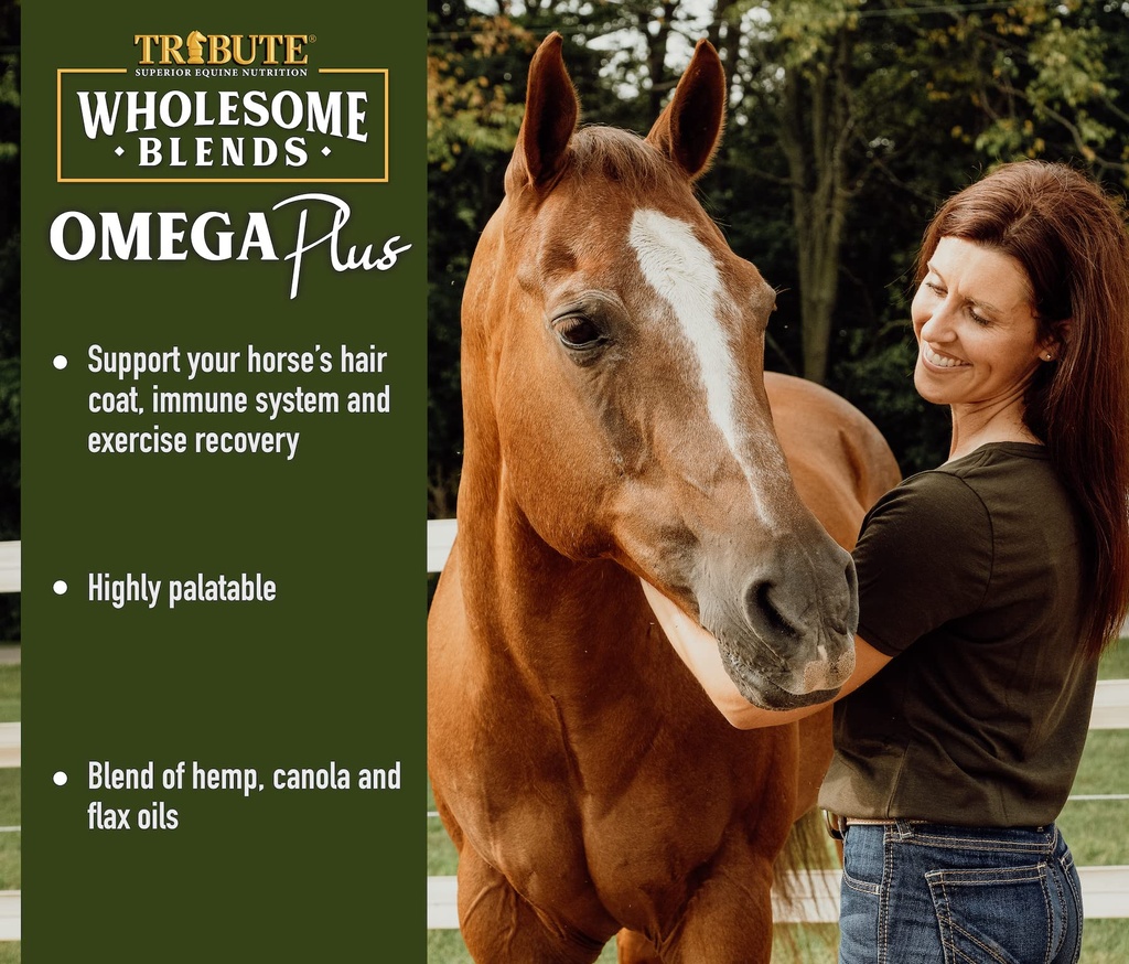 wholesome-blends-omega-plus-oil-suppleme-2.jpg