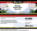 ginkgo-biloba-bai-guo-ye-salve-ointment--4.jpg