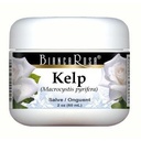 bianca-rosa-kelp-salve-ointment-2-oz-zin-5.jpg