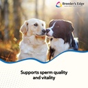 breeder-s-edge-problem-male-powder-for-d-2.jpg