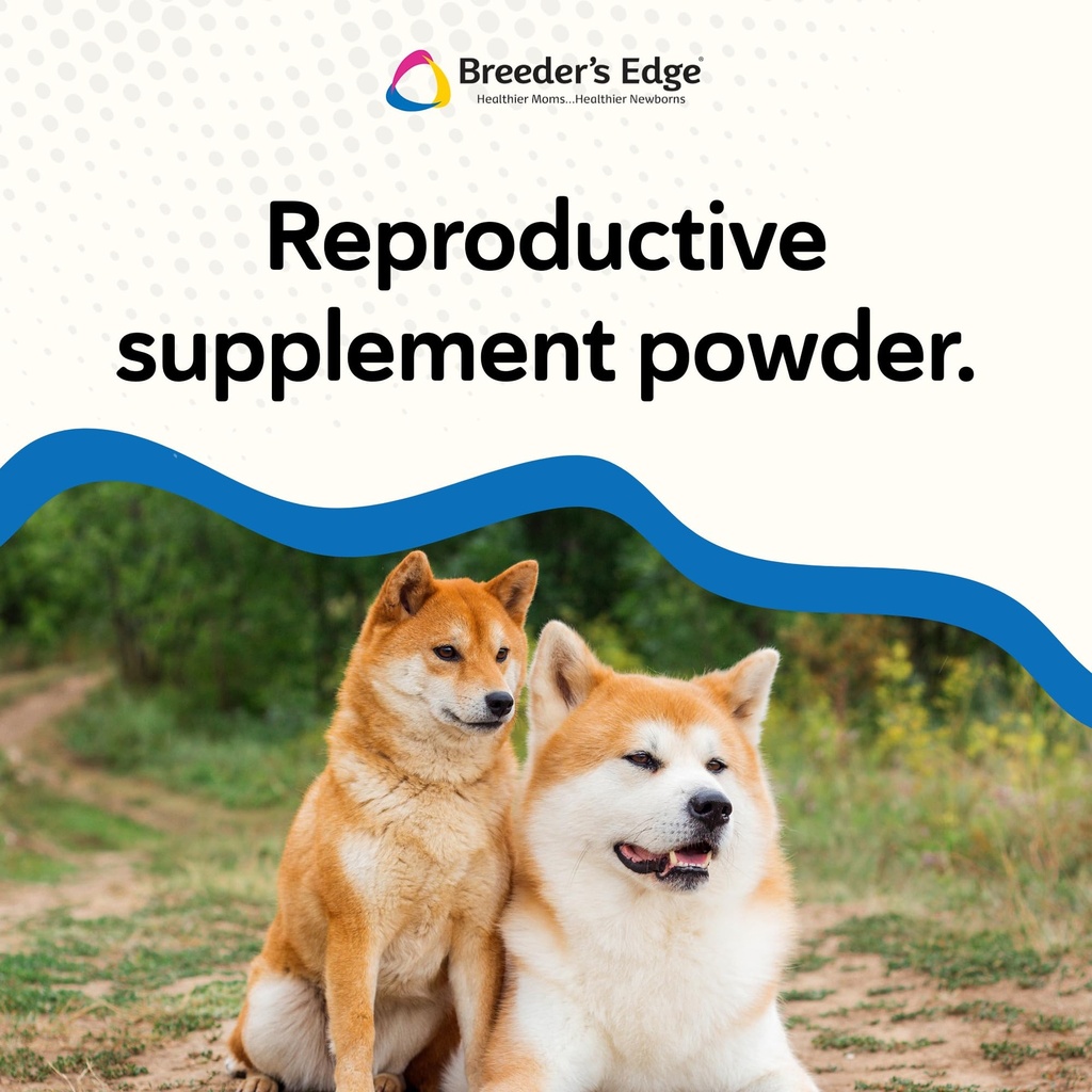 breeder-s-edge-problem-male-powder-for-d-4.jpg