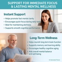 brain-supplements-for-memory-and-focus-2-6.jpg