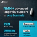 liposomal-nmn-supplement-with-resveratro-2.jpg