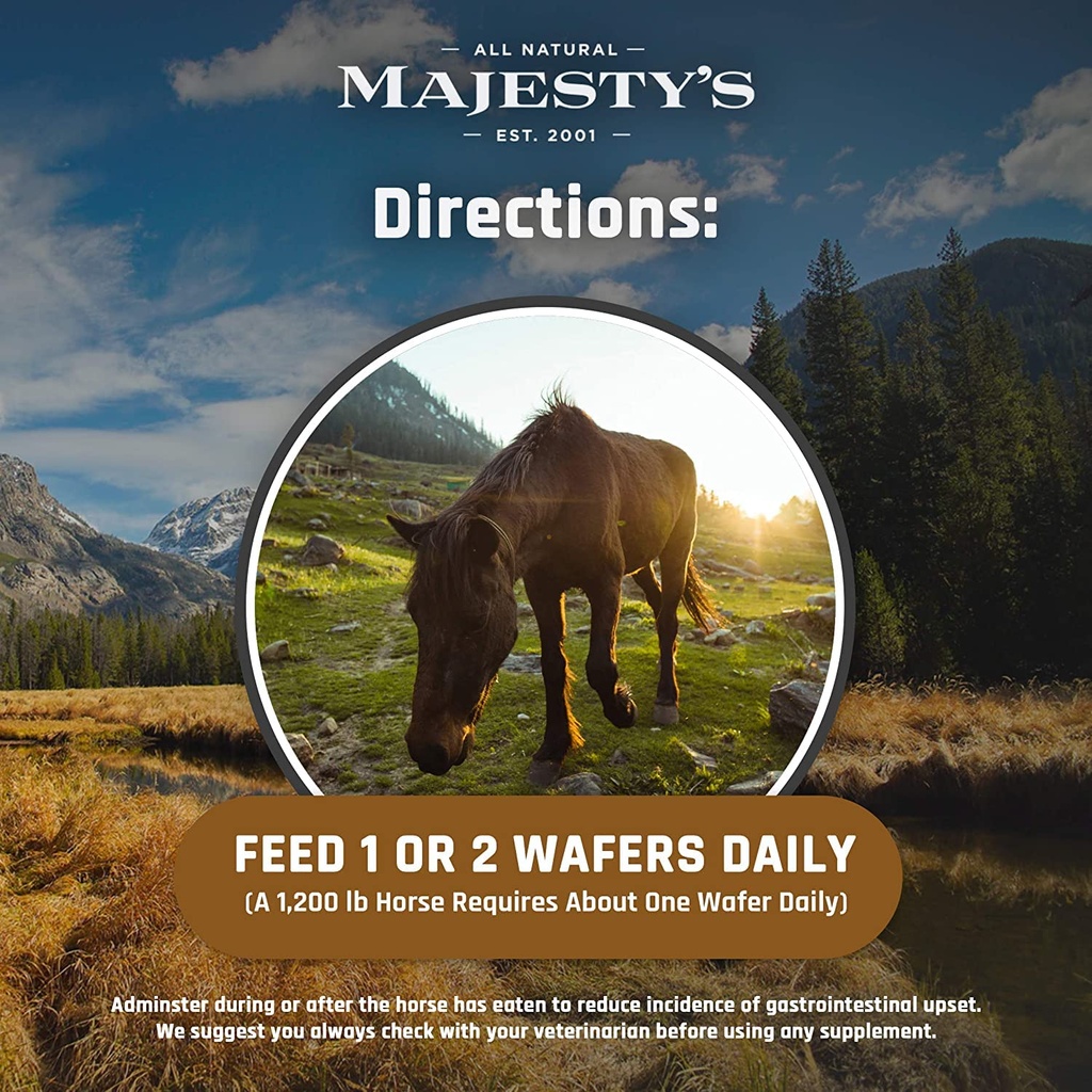 majesty-s-omega-wafers-superior-horse-eq-5.jpg