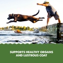 grizzly-pet-products-algal-plus-omega-3--5.jpg