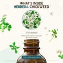 usda-organic-chickweed-alcohol-free-liqu-4.jpg