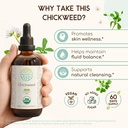 usda-organic-chickweed-alcohol-free-liqu-2.jpg