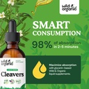 wild-organic-cleavers-lymphatic-drainage-4.jpg