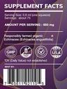earth-s-love-echinacea-angustifolia-alco-2.jpg