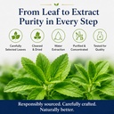 organic-stevia-powder-high-purity-rebaud-5.jpg
