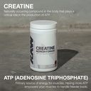 raw-nutrition-creatine-monohydrate-thava-3.jpg