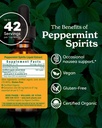 herb-pharm-peppermint-spirits-liquid-ext-2.jpg