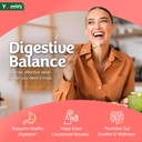 yum-v-s-ginger-gummies-500-mg-ginger-roo-4.jpg