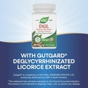nature-s-way-dgl-dgl-supplement-for-dige-5.jpg
