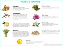 hormone-balance-for-women-menopause-and--5.jpg